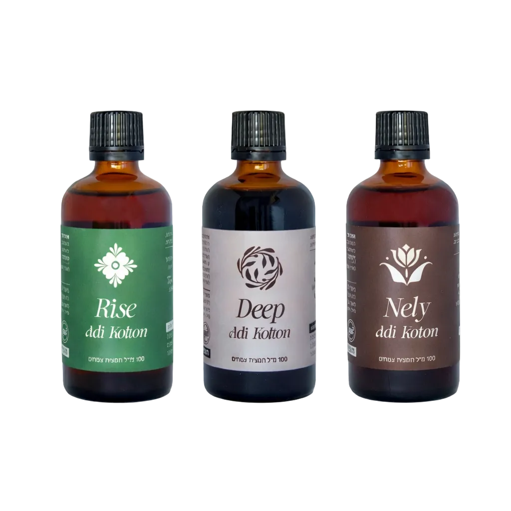 Deep + Rise + Nely